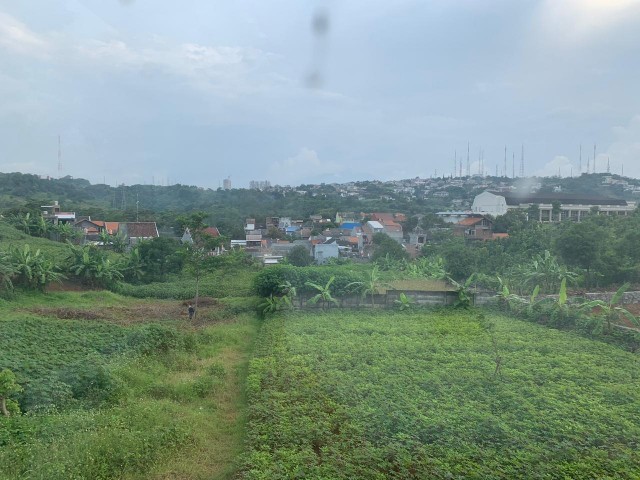 Tanah Jangli Gabeng