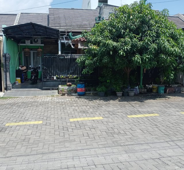 Rumah Kedungmundu Semarang